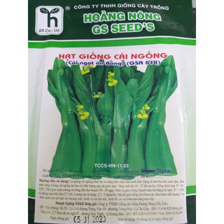 Hạt giống cải ngồng ( cải ngọt ăn bông ) gói 50gr