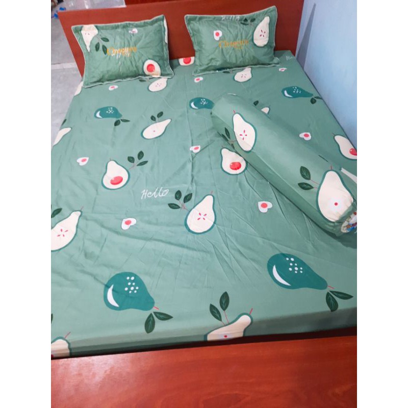 Bộ ga, vỏ gối cotton poly 4 món