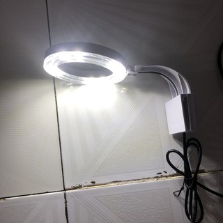 ĐÈN LED TRÒN XML TRẮNG - 3 MÀU KẸP BỂ CÁ