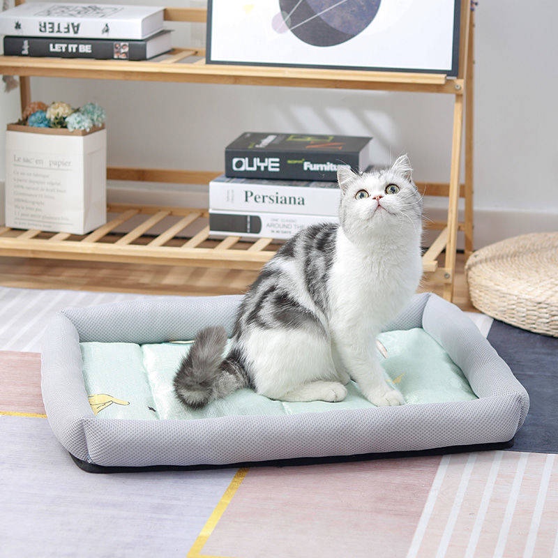 Mát mẻ vào mùa hè chó kennel mèo cũi có thể được rửa sạch