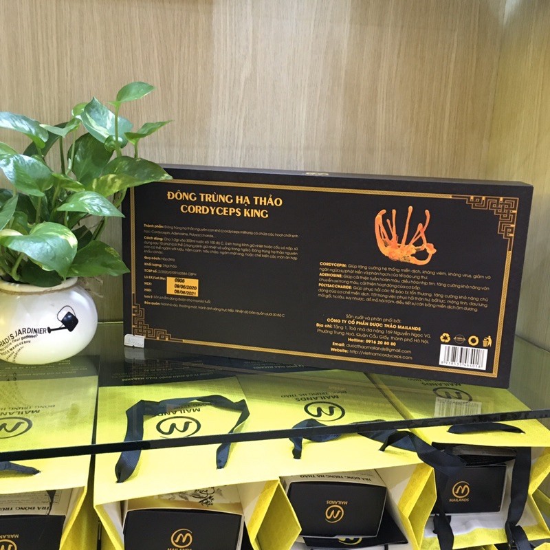 Đông Trùng Hạ Thảo CORDYCEPS KING | BigBuy360 - bigbuy360.vn