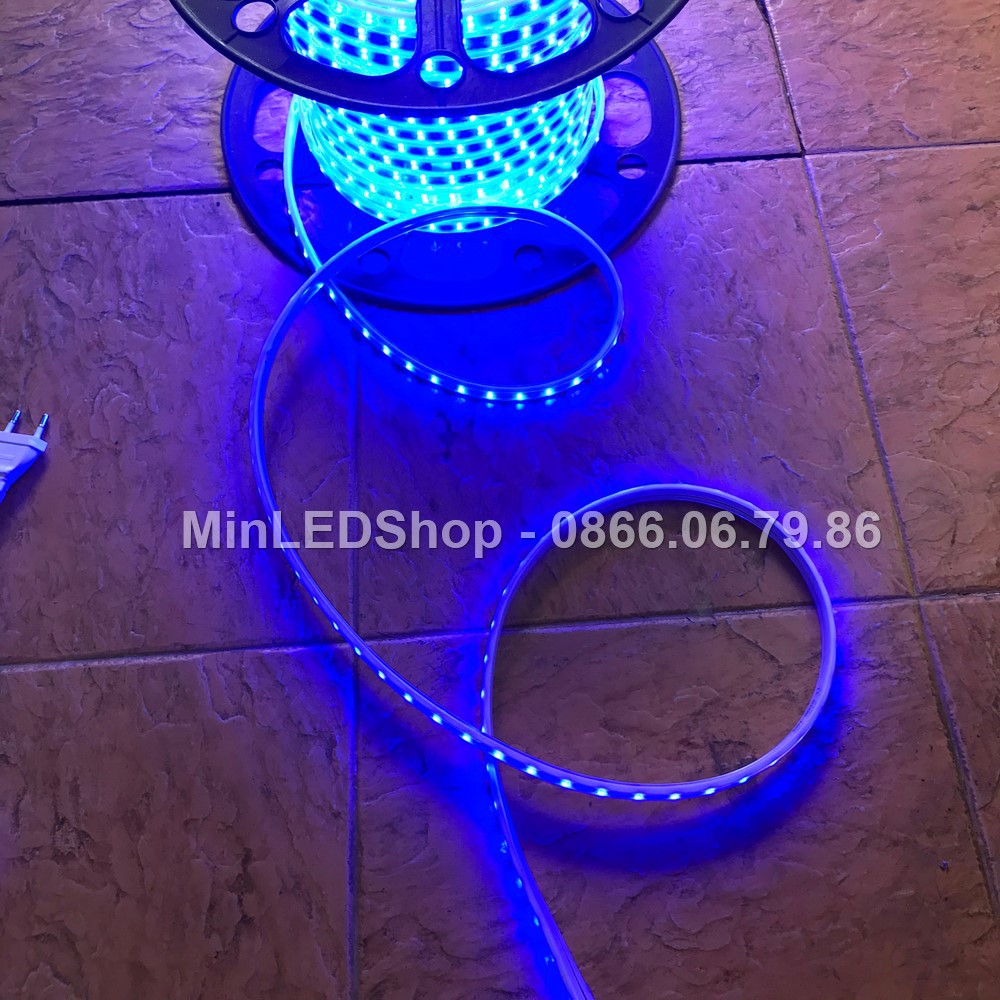 Combo đèn led dây đôi 2 hàng trang trí nhà, cây (màu trắng, vàng, xanh dương) + dây nguồn