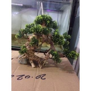 🌲 Cây Lũa Bonsai Thủy Sinh [Gỗ Lũa Thật Gắn Lá Nhựa]