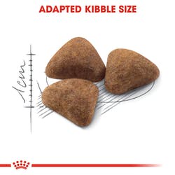 Thức Ăn Cho Mèo Cao Cấp Royal Canin Indoor 27 Cho Mèo Nuôi Trong Nhà Gói 400G - Miki Petshop