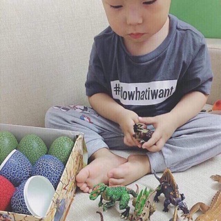 Sét hộp trứng khủng long