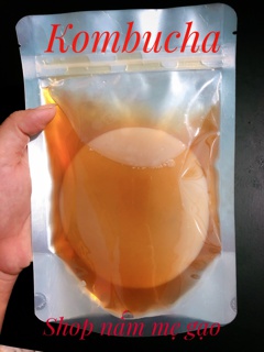 Nấm kobumcha/Milk kefir (Nấm sữa)
