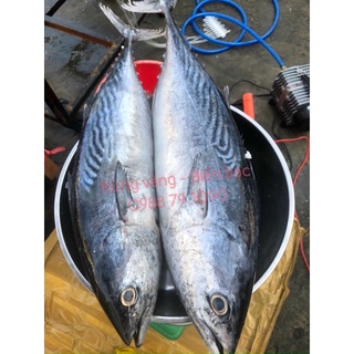 Cá Ngừ cắt lát