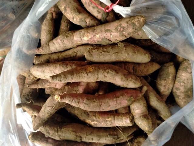 Combo 4 kg khoai lang mật 100k | BigBuy360 - bigbuy360.vn