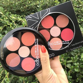 [Auth100%] Phấn mắt thái lan -cosmetic999