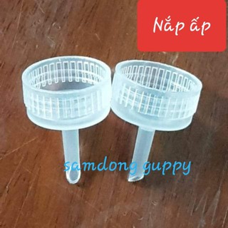 Nắp ấp atermia