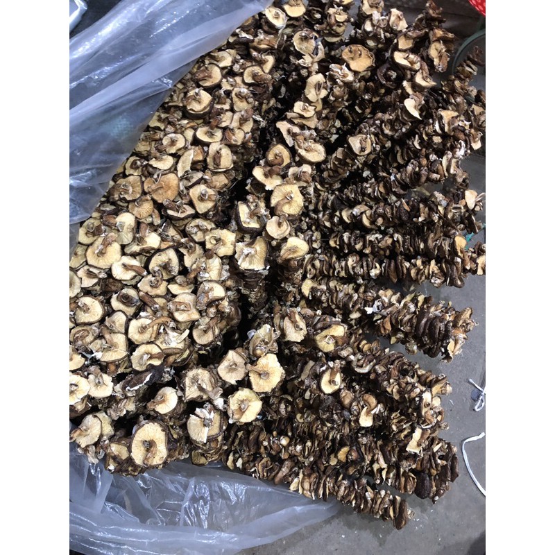 Nấm hương Tây bắc túi 500g