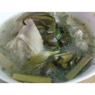Hoa Atiso tươi
