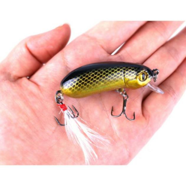 Mồi câu lure, mồi câu cá giả CC50 6cm-10g