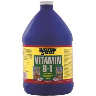 Phân bón lá Vitamin B1 Liquinox Western State 3.79L