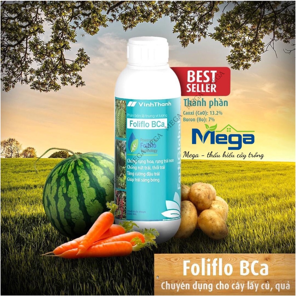 BCa 500ml canxi bo nhập khẩu Italia: chống rụng, chống thối, chống nứt trái - mega