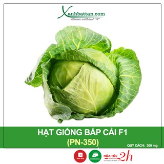 Hạt Giống Bắp Cải Phú Nông Gói 300 mg