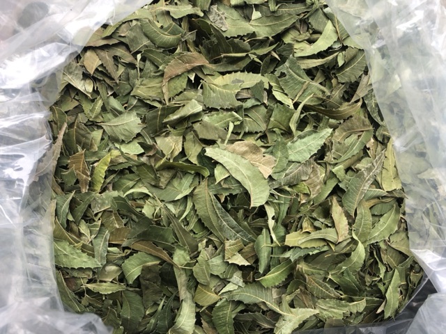 ( Bb221 ) Lá neem gội đầu 100g ( Linhnam_SPA )