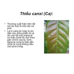 Phân bón trung lượng Siêu Canxi gói 50gr