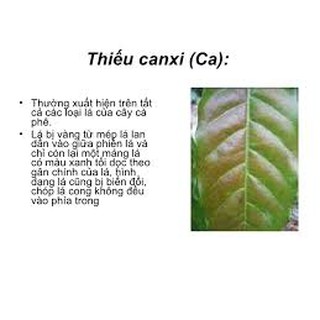Phân bón trung lượng Siêu Canxi Bo gói 30gr