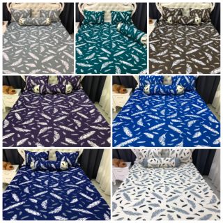Bộ drap thun thái lan phối màu