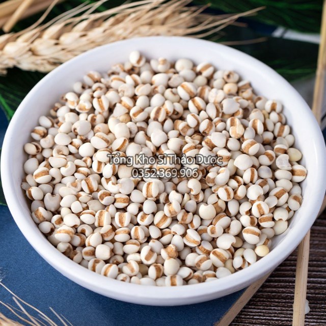 Y Dĩ Nếp 100g (Hàng Xuất Khẩu)