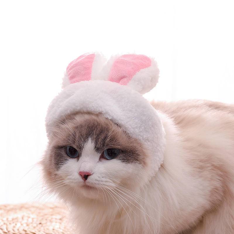 Mũ Trùm Đầu Hình Trái Cây Hoạt Hình Cho Thú Cưng