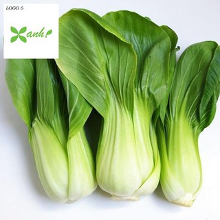 ⚡️hạt giống rau cải thìa f1⚡️ rau cải chíp cao sản