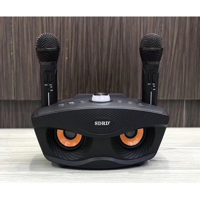 Loa Bluetooth karaoke SDRD SD 306 Plus bản 2020 đa năng, Loa kèm 2 micro hát karaoke Không dây- Phiên Bản Nâng Cấp lọc