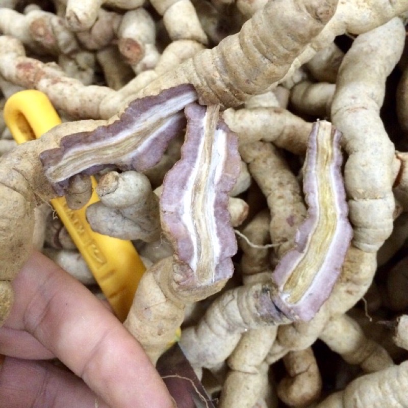 1kg Ba kích nguyên củ hàng việt nam loại 1