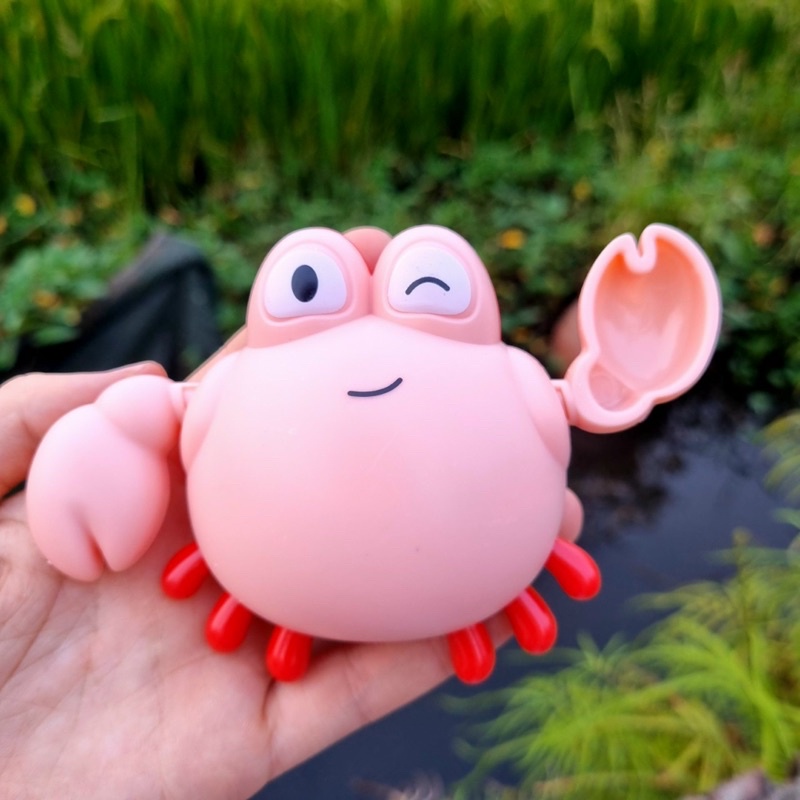 Đồ chơi nhà tắm rùa cua cá bơi nước vặn có