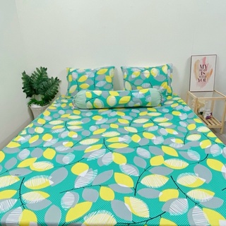 Set 4 drap/ga áo gối thun lạnh hàn quốc