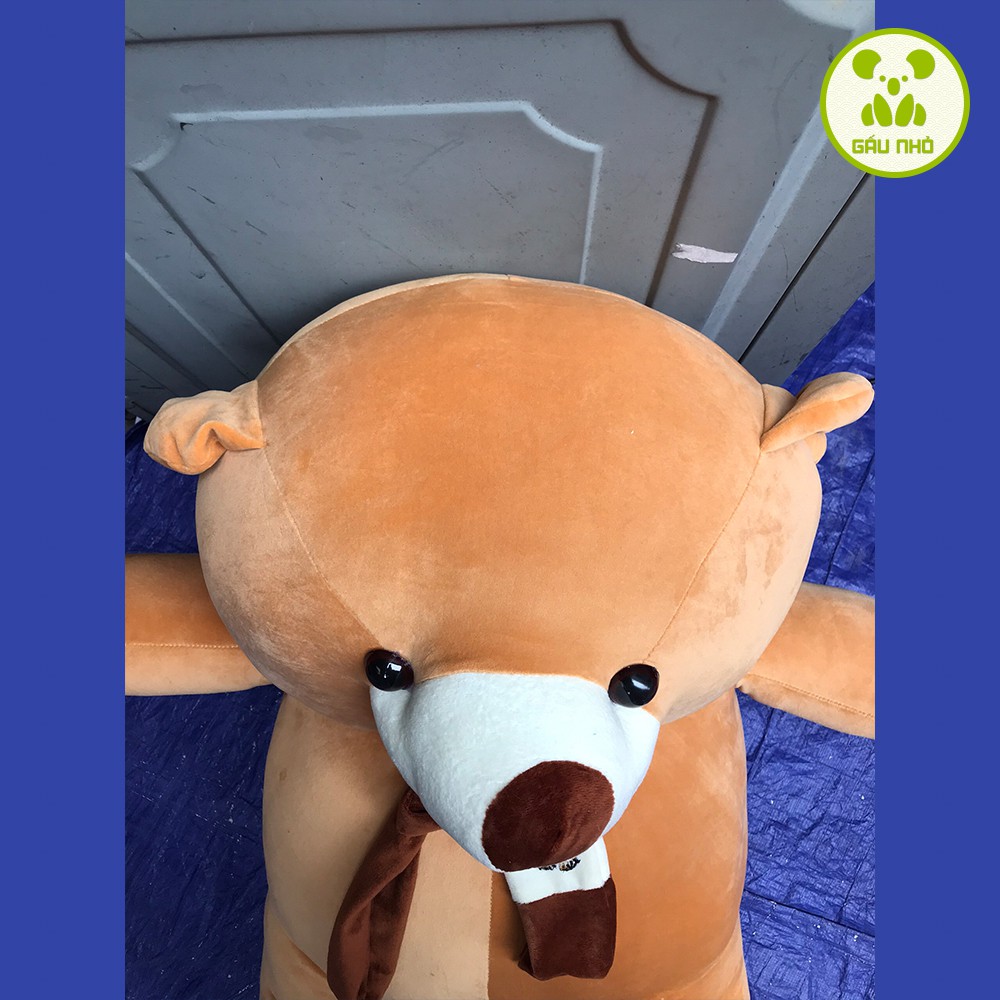 Gấu Bông Teddy Khăn Siêu Mềm Mịn CAO CẤP - GẤU NHỎ