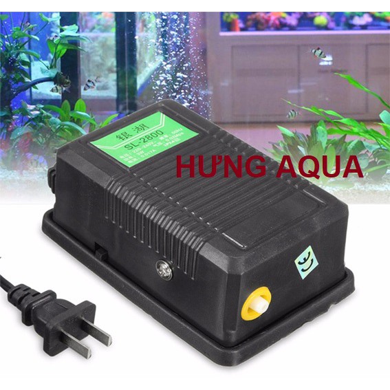 Máy sủi oxy, sủi oxy bể cá SL/SB-2800 1 vòi 3W nhỏ gọn tiết kiệm điện, chạy êm khỏe, chọn combo phụ kiện