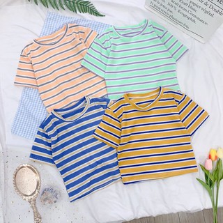 Áo thun sọc croptop ôm body