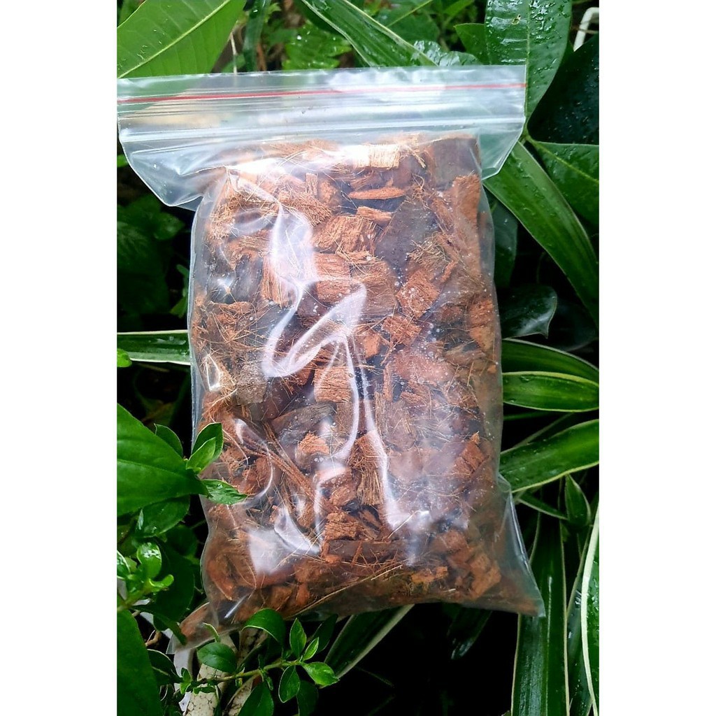 Dừa cục đã xử lý dùng để trồng lan gói 200g