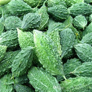 10h - HẠT GIỐNG KHỔ QUA RỪNG