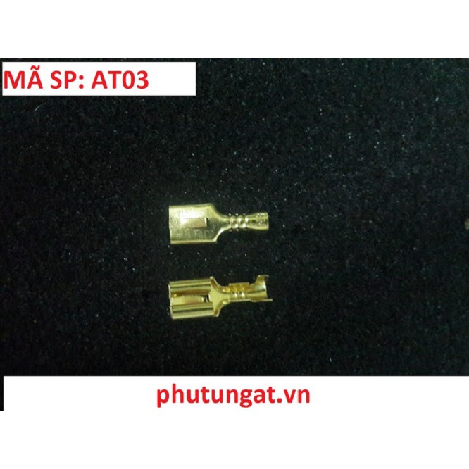 Cos ghim cái 6.3 có gai cài - AT03