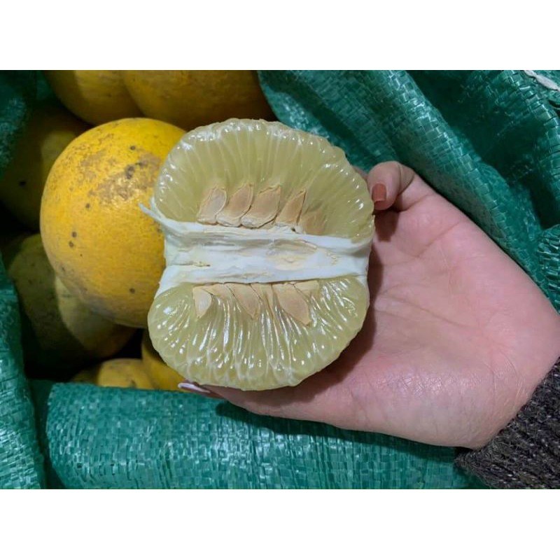 bưởi diễn bao ngon ngọt trên từng quả ngon bổ rẻ đặc sản vùng quê