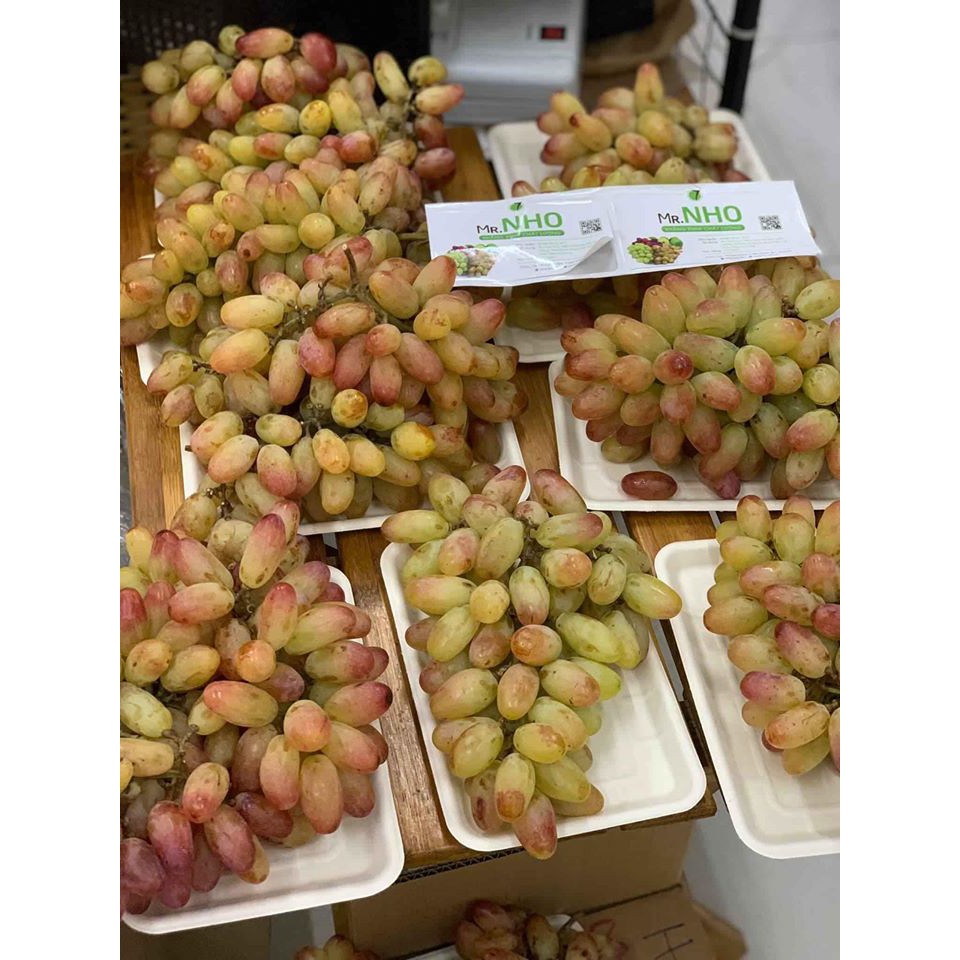 Khay bã mía Gracz phân hủy hoàn toàn