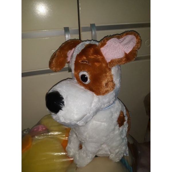 Chú chó Max