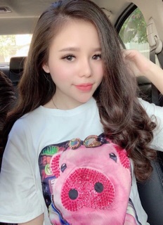 áo phông thêu heo kim sa