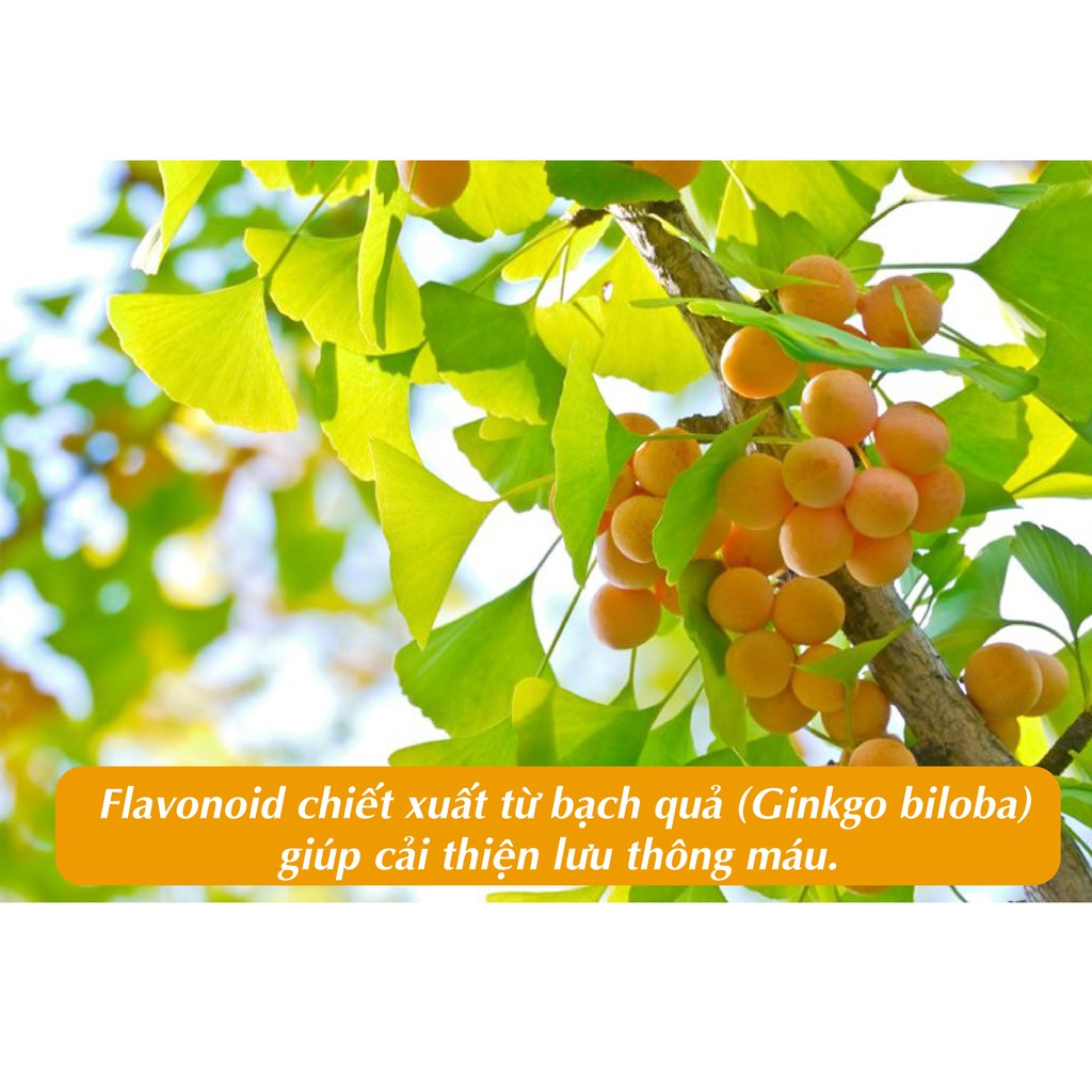 [Nhập Âu] BioCo HuVit Gink forte (Hộp 90 viên) - Bổ não, Hoạt huyết, Tăng cường trí nhớ | BigBuy360 - bigbuy360.vn