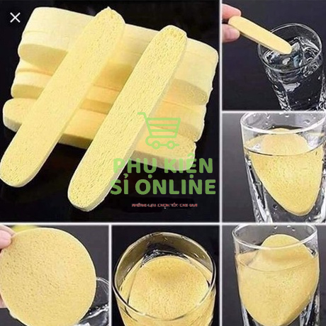 Bọt biển nén /Bông mút rửa mặt Chivey ngâm nước nở dai ,mềm, mịn