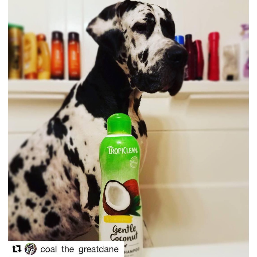 Sữa tắm xả hữu cơ thiên nhiên 2 trong 1 dành cho chó mèo Tropiclean 355ml