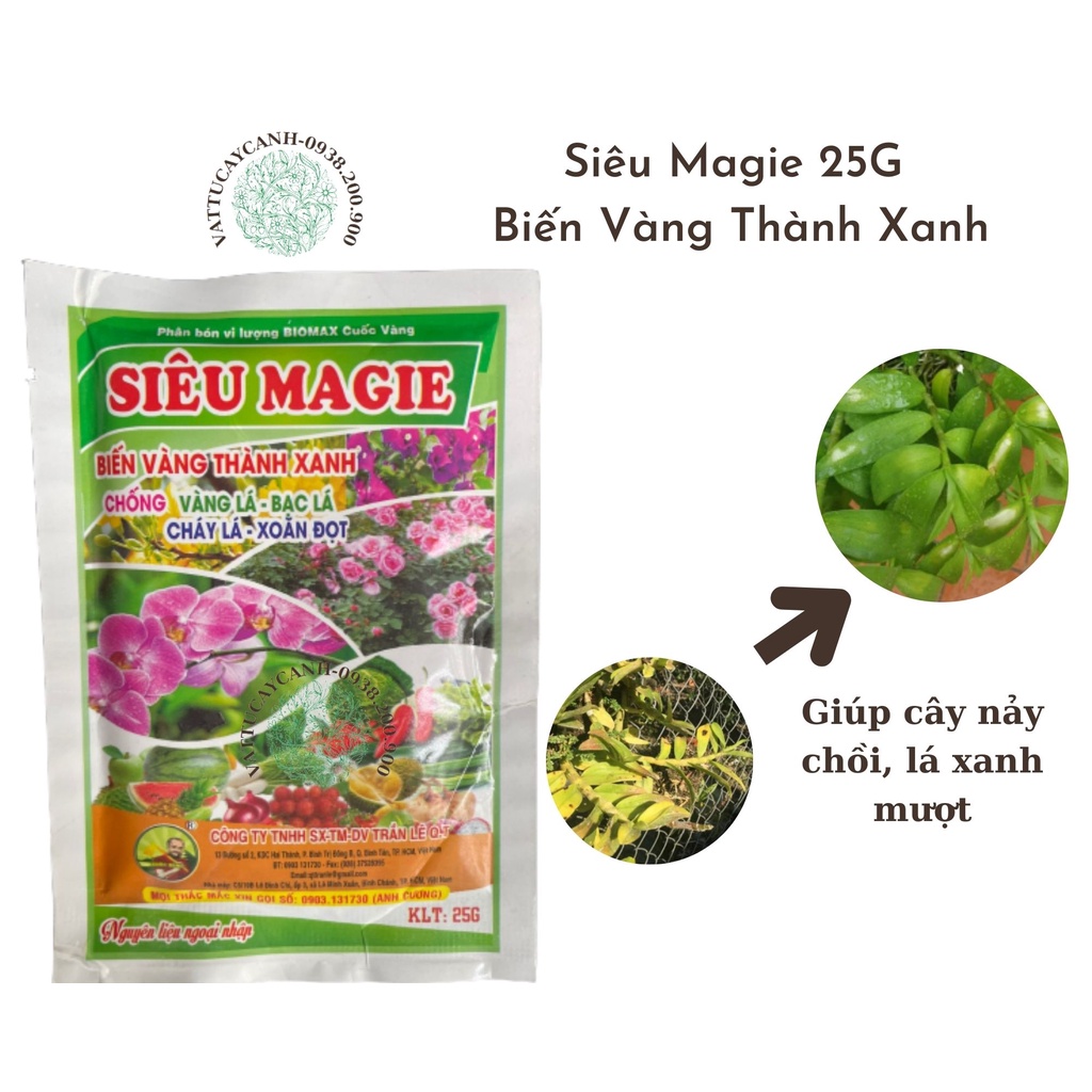 Siêu Magie 25G - Biến Vàng Thành Xanh - Giúp Cây Xanh Tốt - Dày Lá - Super Magie