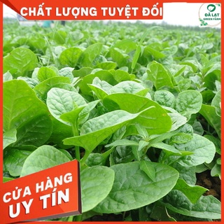 Hạt giống mồng tơi cao sản - 20 gr