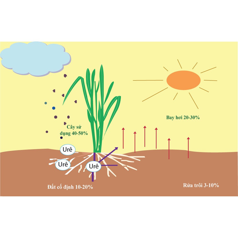 PHÂN ĐẠM URE -  500Gram/ gói