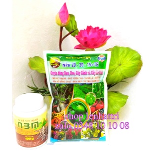 N3M Phân kích rể cực mạnh 100g