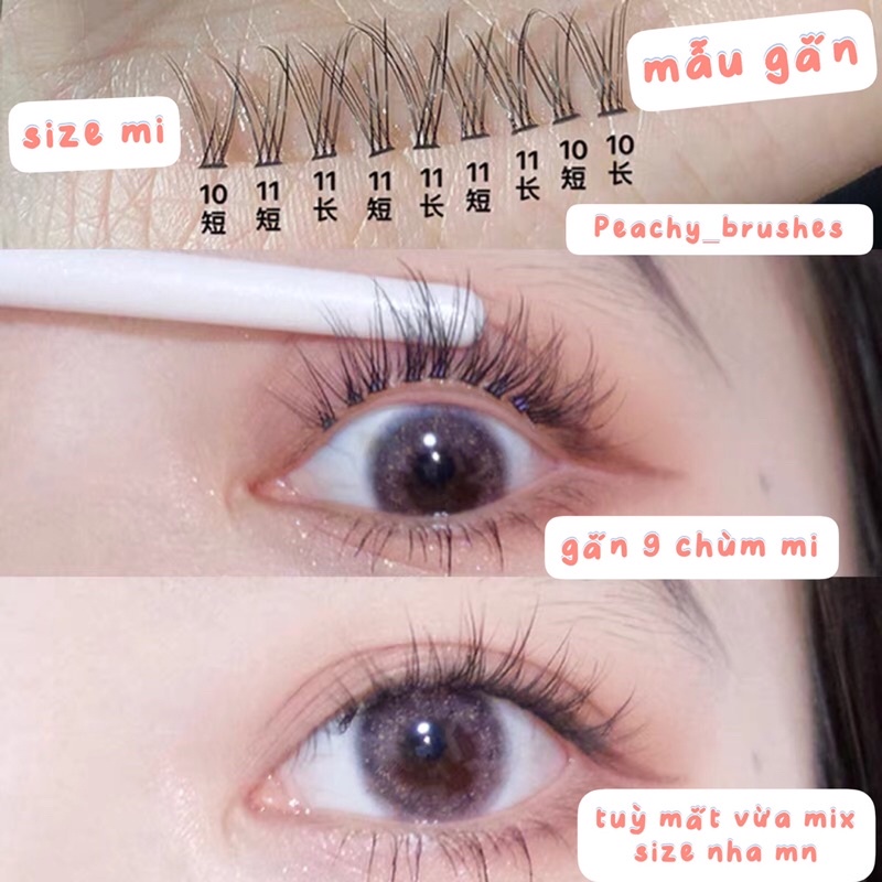 Combo mi giả gắn mắt  gồm nhíp và keo dán