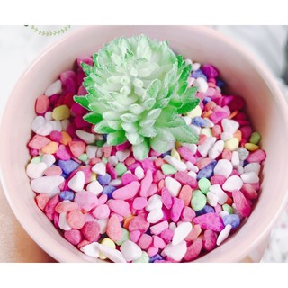 Gói Sỏi màu ngũ sắc trang trí lọ hoa thủy tinh hoặc phủ trên bề mặt các chậu sen đá hoặc cây cảnh